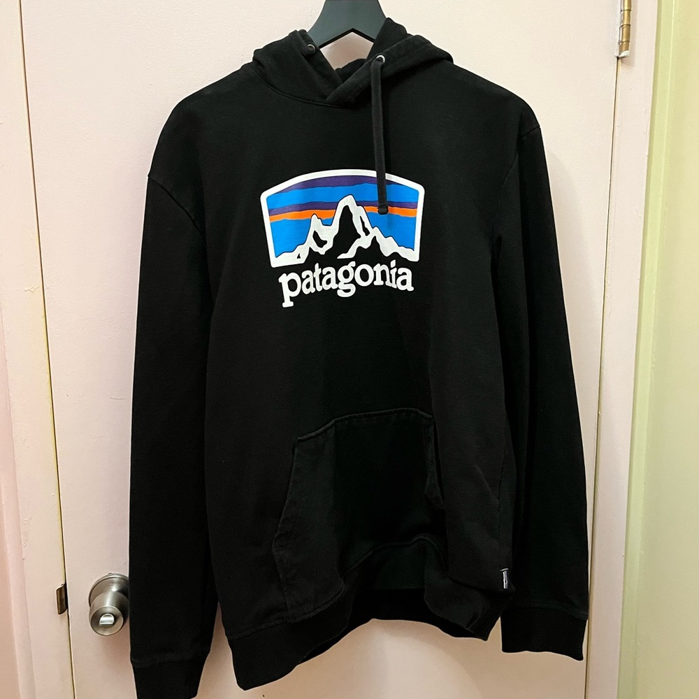 Patagonia Hoodie